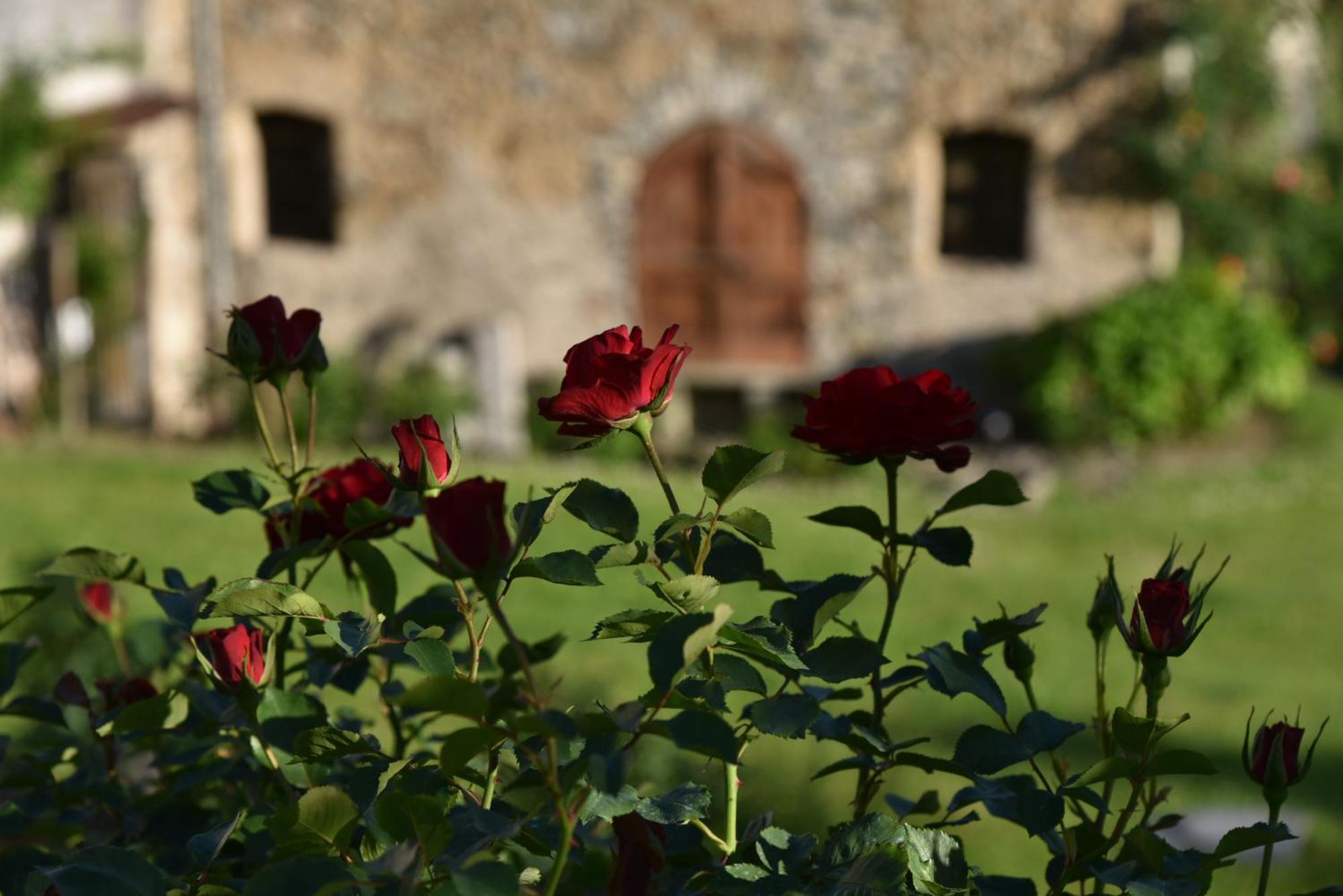 Piano Nobile Al Roseto Del Drago Villa San Bernardo  Exterior photo